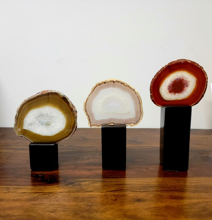 Fergie Sculptures, Set of 3 - Cleared Décor