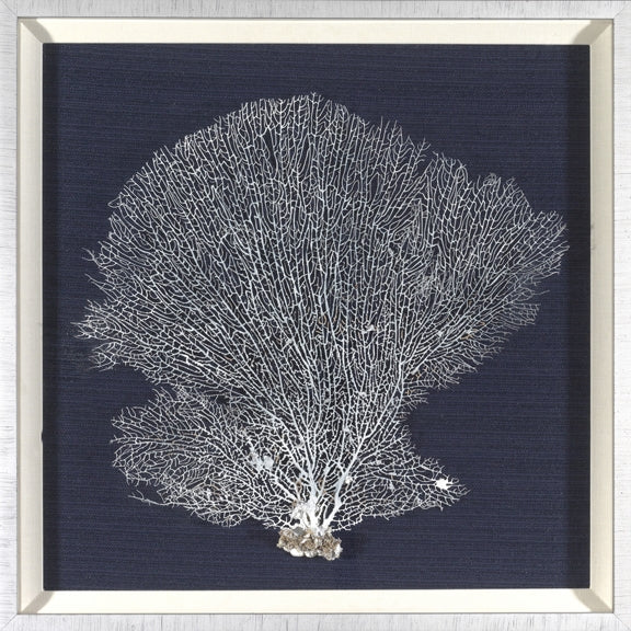 Coral Shadow Box II 7