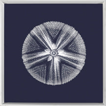 White on Navy Sea Elements I 7