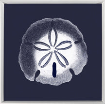 White on Navy Sea Elements III 7