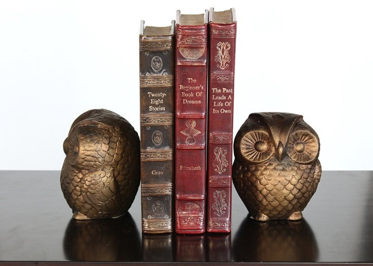 Pair of Bronze Owl Bookends