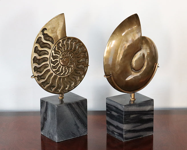 Brass Fossil Objects Set Of 2 - Cleared