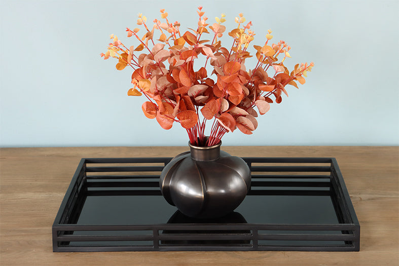 Matte Black Mirrored Tray - Cleared