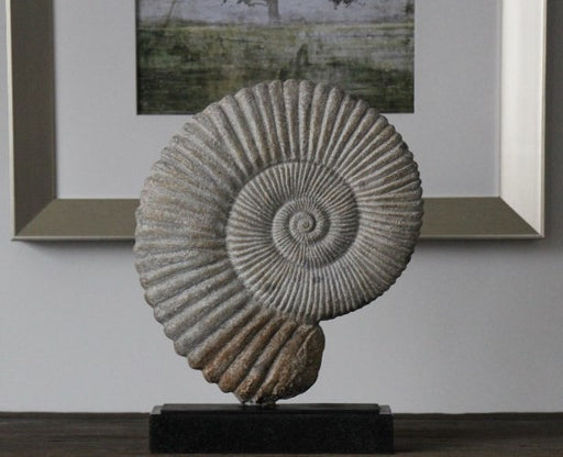 FIG02ATL - Fossil Marble & Iron Shell Sculpture