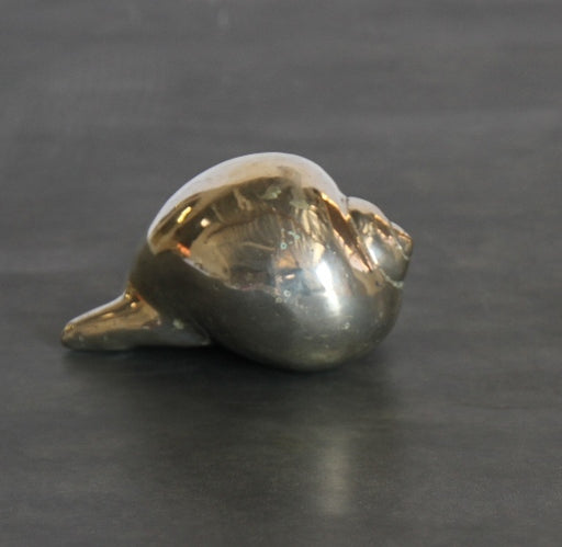 FIG229LA - Shell Dome