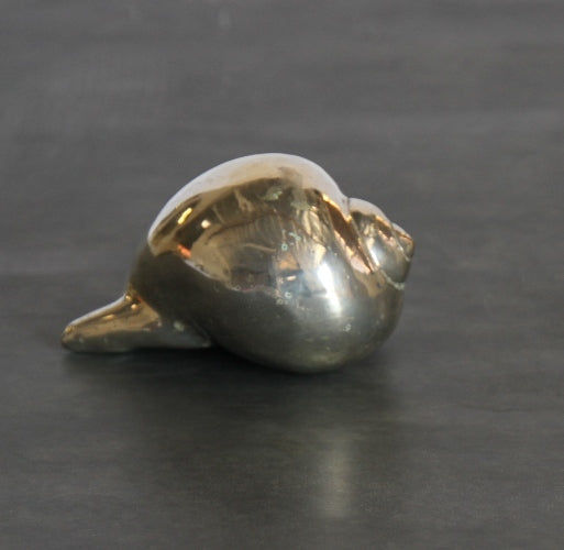 FIG229LA - Shell Dome