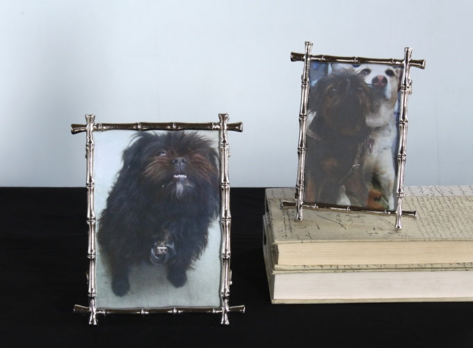 Set of 2 Silver Bamboo Picture Frames - 4x6 and 5x7