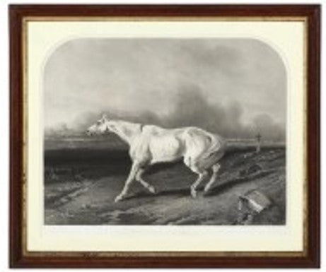 Antique French Horse Engraving 18th c. La Guerre 26.5W x 31H