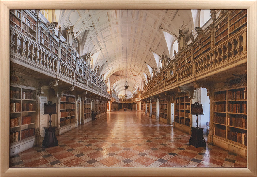 Mafra Library I 36W X 24H
