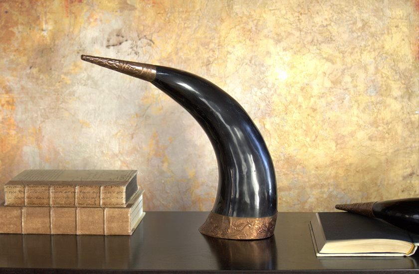 Set of 2 Authentic Horns - Cleared Décor