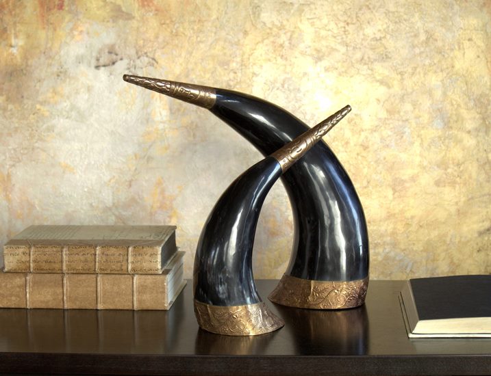 Set of 2 Authentic Horns - Cleared Décor