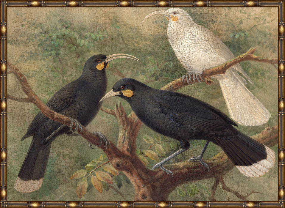 Library Gallery Wall 5 41W x 30H