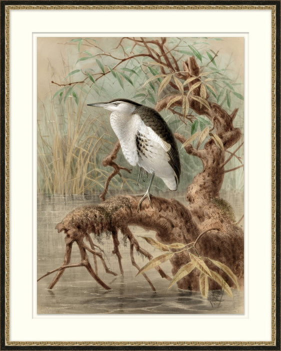 Library Gallery Wall 2 28.5W x 35.5H