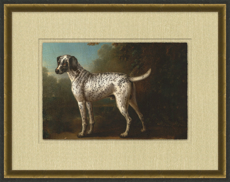 On the Hunt 7 28.5W x 22.5