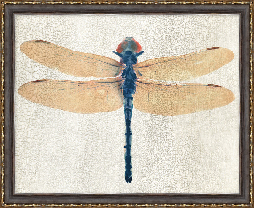 Dragonfly 1 22W X 18H