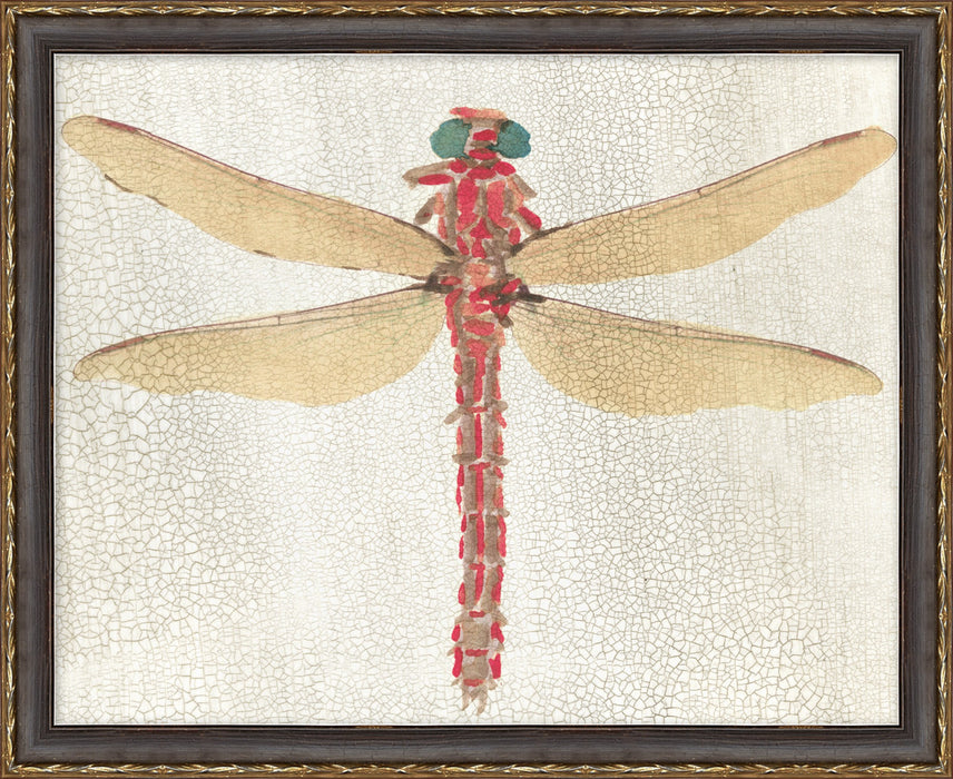 Dragonfly 2 22W X 18H