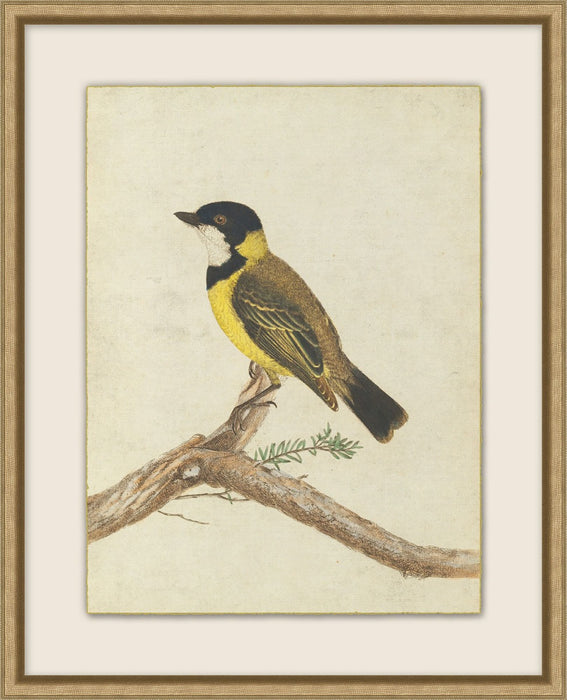 Birds Of Autumn 1 17.13W X 21.13H