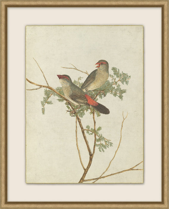 Birds Of Autumn 2 17.13W X 21.13H