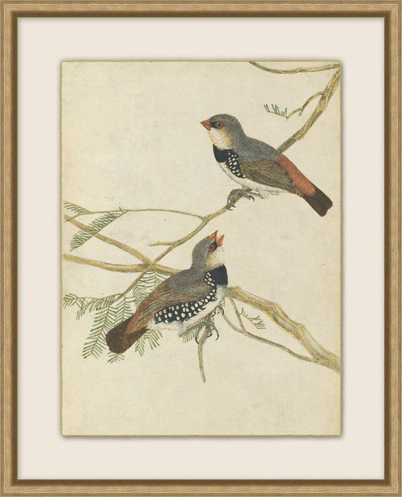 Birds Of Autumn 6 17.13W X 21.13H