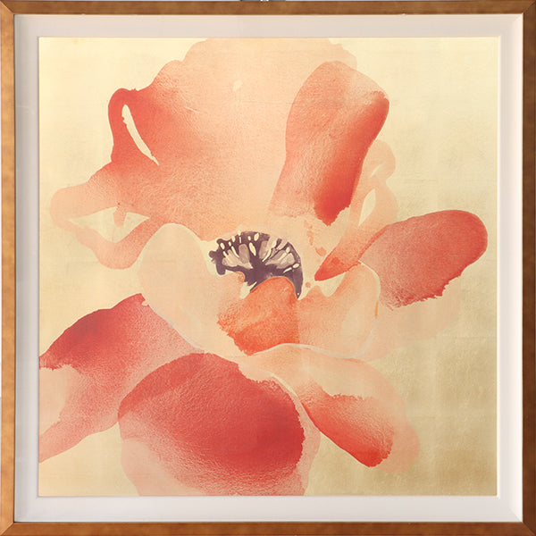 Himalayan Poppy 1  41.25W x 41.25H