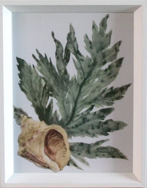 STILL736LA - Aquatic Assortment 5 11W x 14H