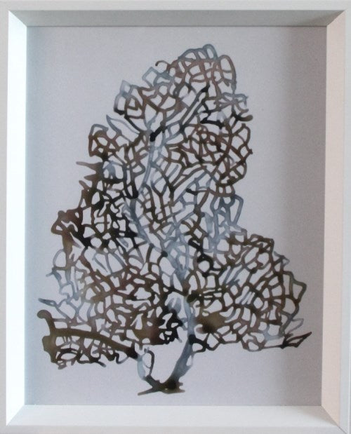 STILL737LA - Aquatic Assortment 7 13W x 16H