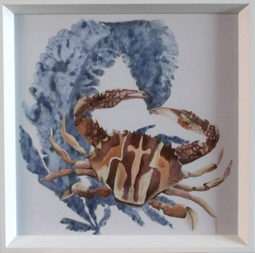 STILL739LA - Aquatic Assortment 9 16W x 16H