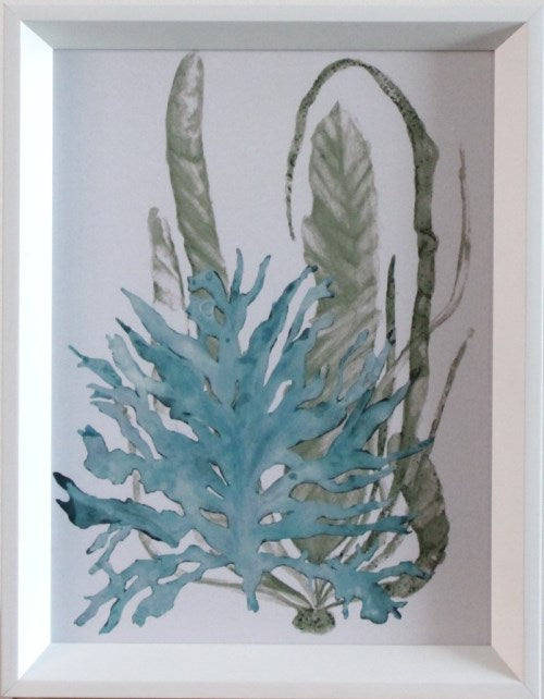 STILL742LA - Aquatic Assortment 12 11W x 14H