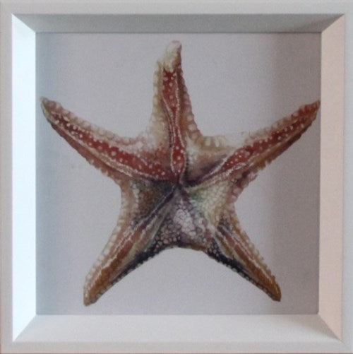 STILL745LA - Aquatic Assortment 15 10W x 10H