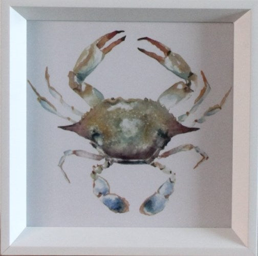 STILL747LA - Aquatic Assortment 17 10W x 10H