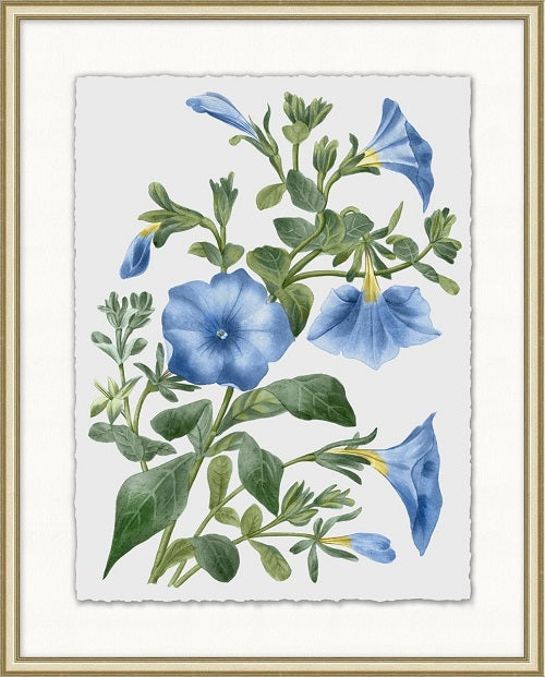 Floral Study 2 20W x 25H