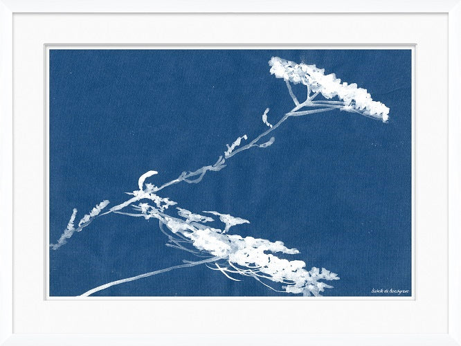 Cyanotype Blues II 28W x 21H