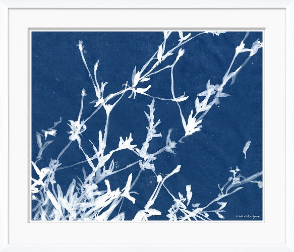 Cyanotype Blues X 28W x 24H