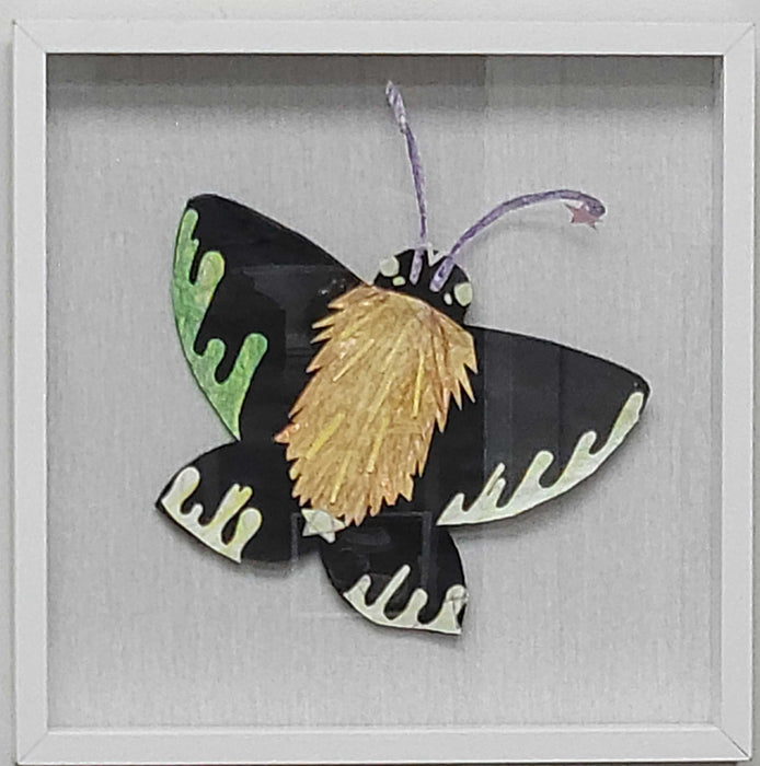 Star Butterfly 13W x 13H - Clèared