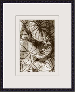 Garden textures IV 8