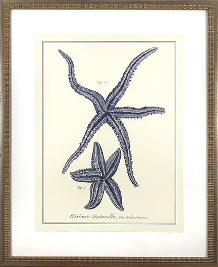 Custom Indigo Starfish II 7