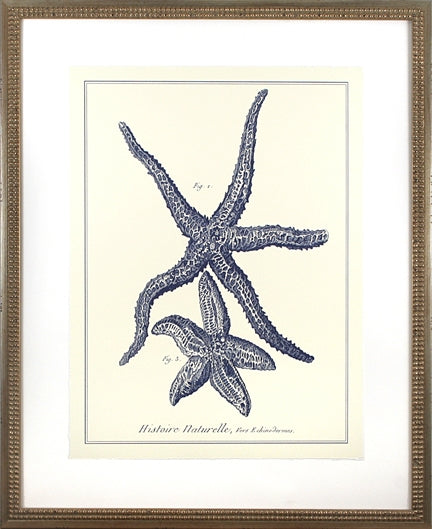 Custom Indigo Starfish I 7