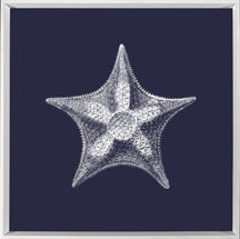 White on Navy Sea Elements V 7