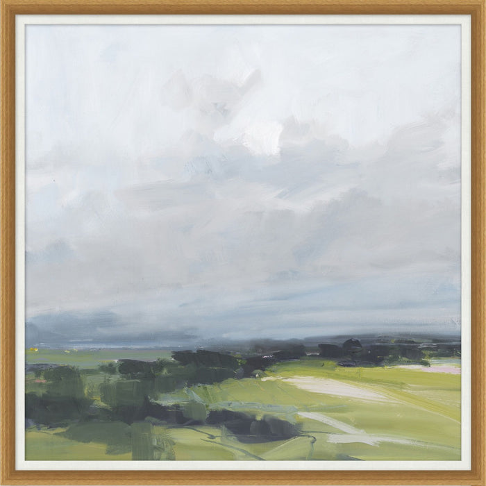 Vast Meadow East 35.63W X 35.63H