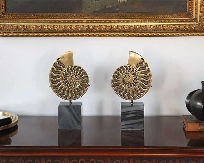 Brass Fossil Objects Set Of 2 - Cleared