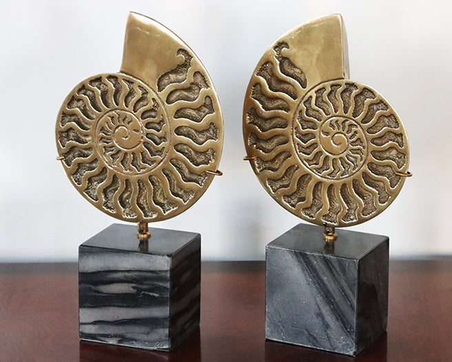 Brass Fossil Objects Set Of 2 - Cleared