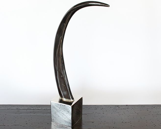 Large Horn Sculpture - Cleared Décor