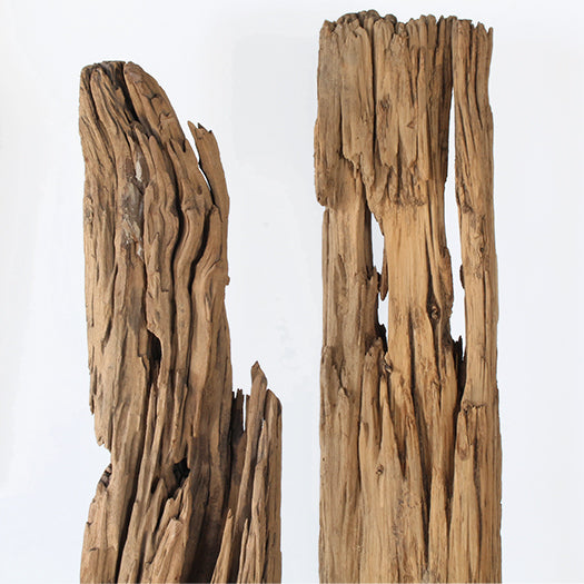 Tall Driftwood Sculpture - Cleared Decor