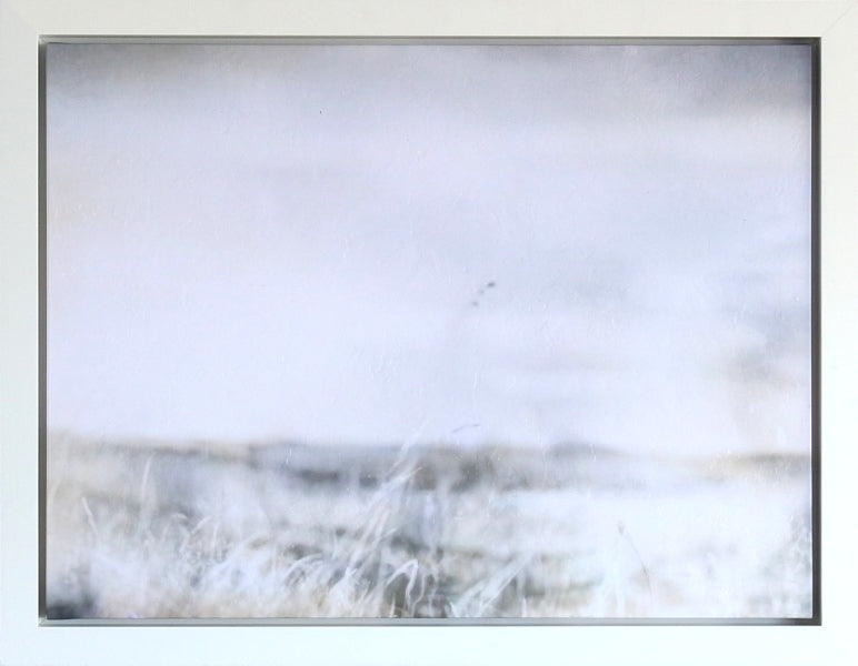 Warm Meadow II 36W x 28H