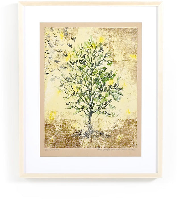 Sunshine 1 26W x 32H