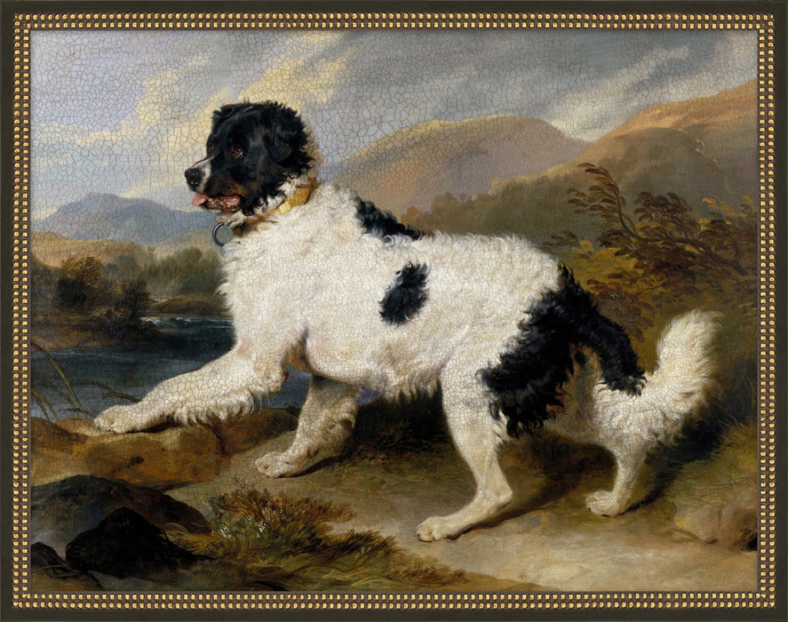 Library Gallery Wall 1 32W x 25.5H