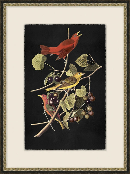 Birds Of Plenty 2 20.5W X 27.5H