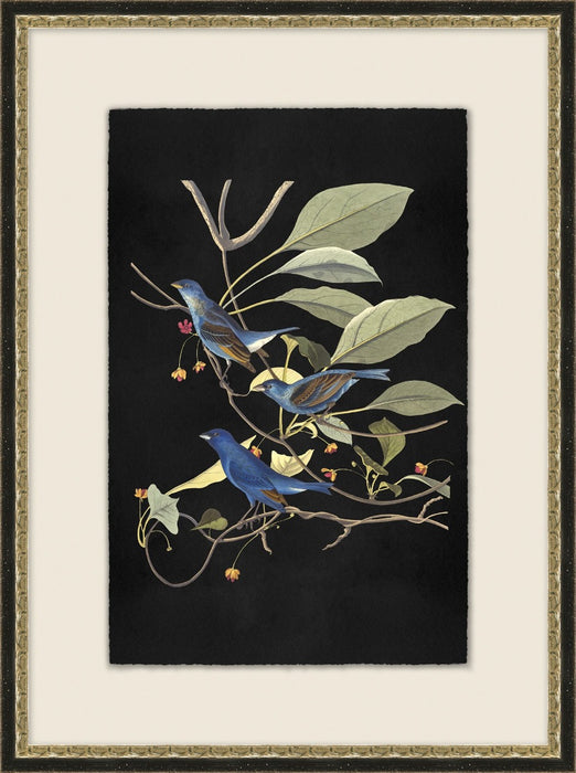 Birds Of Plenty 4 20.5W X 27.5H