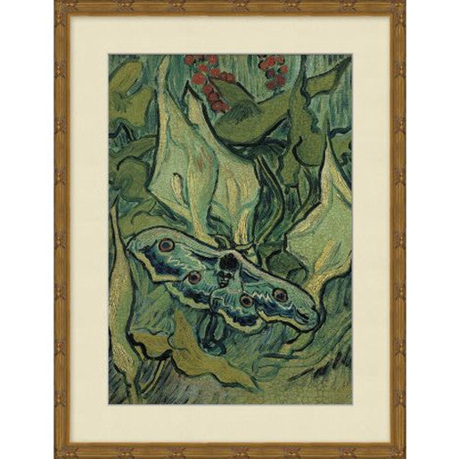 Emperor Moth 18W X 23H