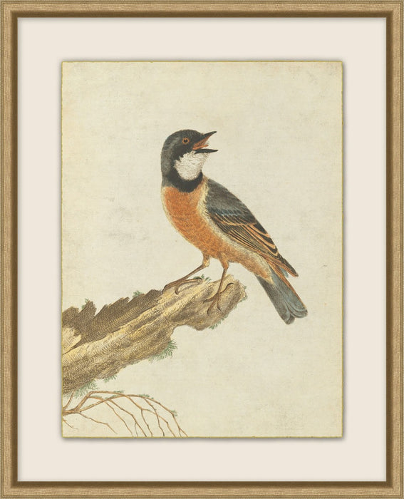 Birds Of Autumn 3 17.13W X 21.13H